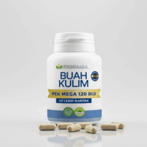 Kapsul Buah Kulim Jumbo